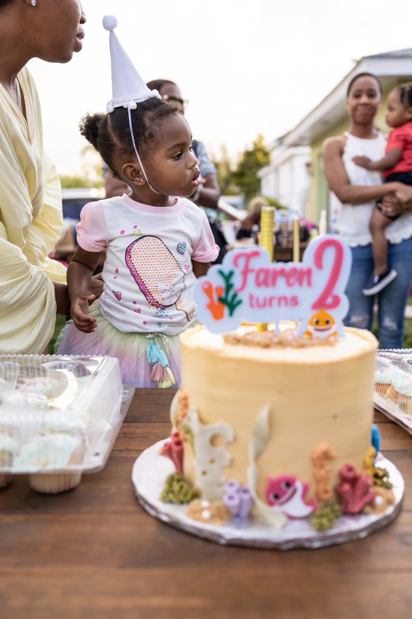 two-year-old toddler birthday party