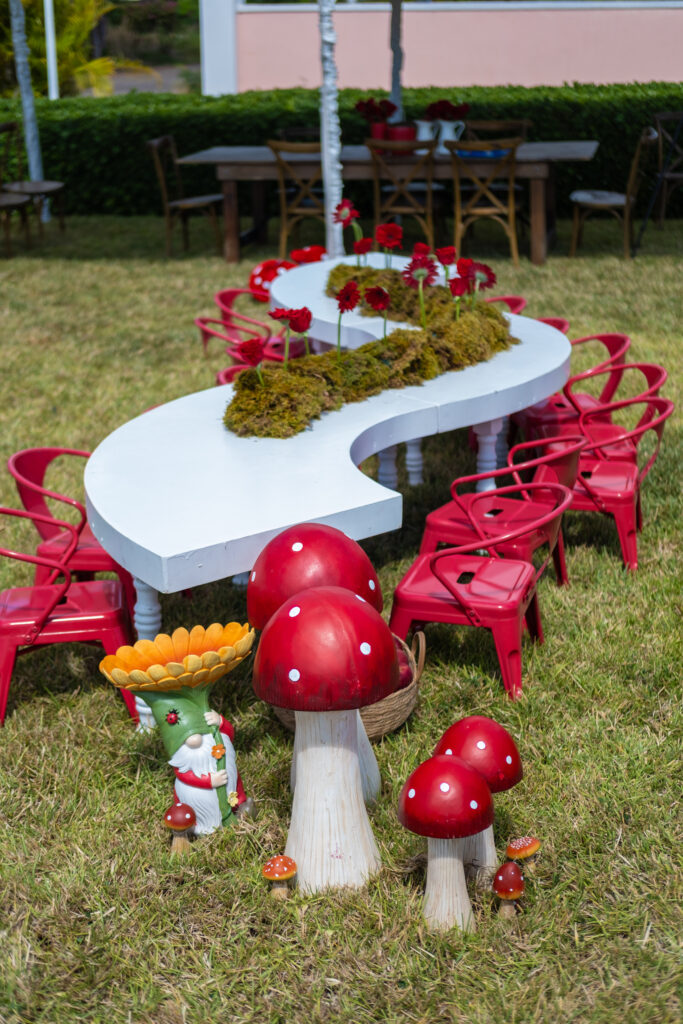 snow white-themed party