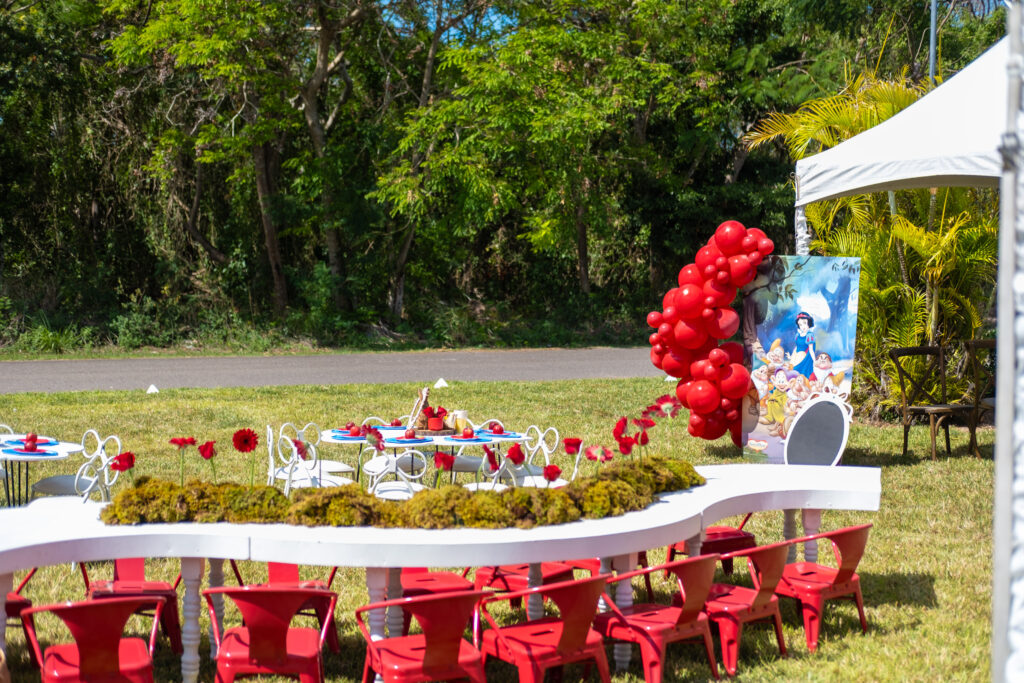 snow white-themed party